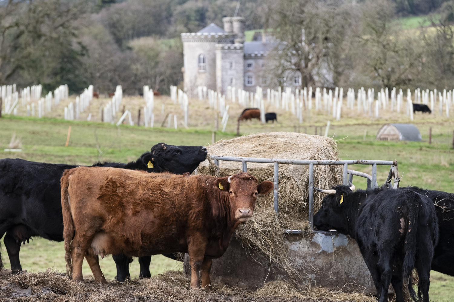 Rock Farm Slane Co Meath